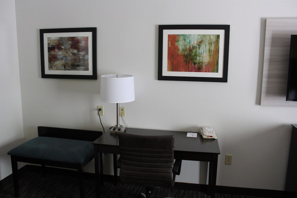 Best Western Magnolia Inn And Suites 25/36