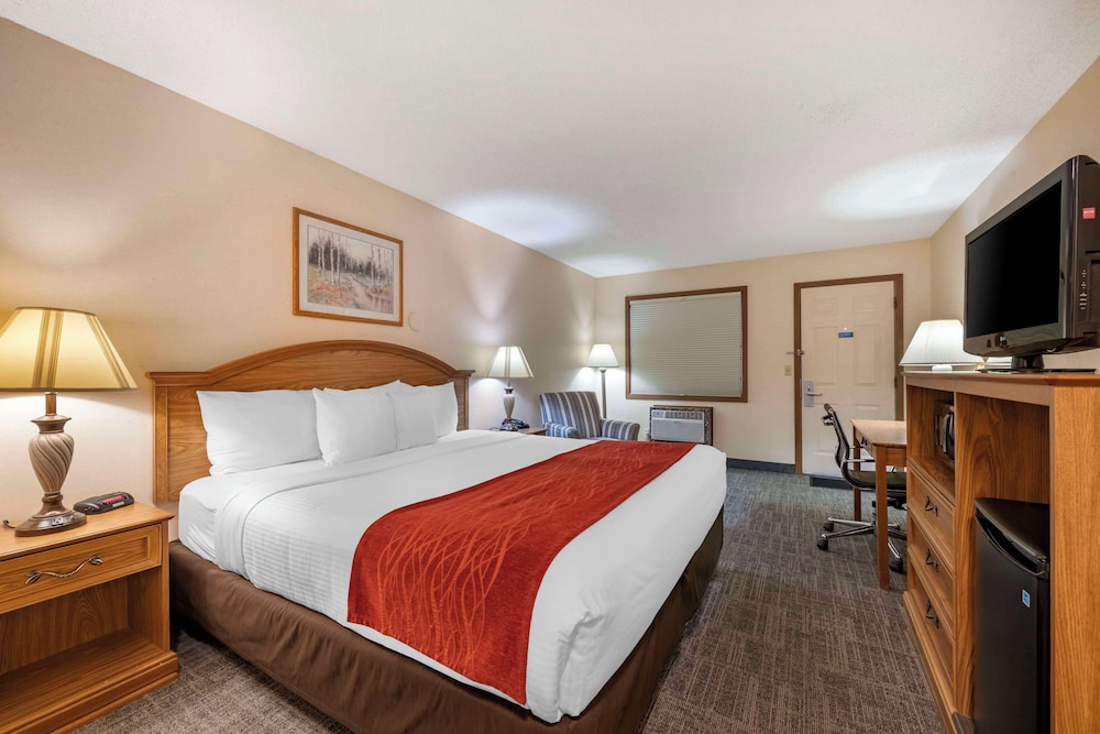 Standard, King Bed, Accessible