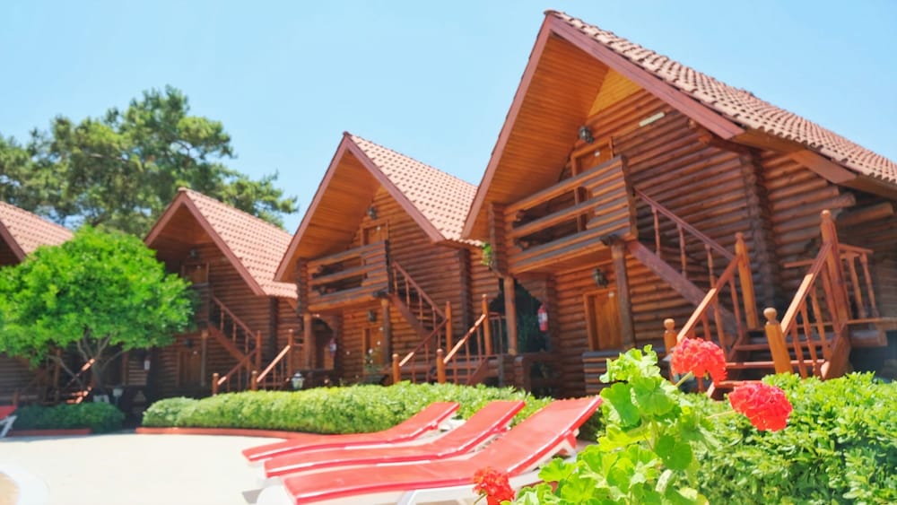 Woodline Hotel 31/33