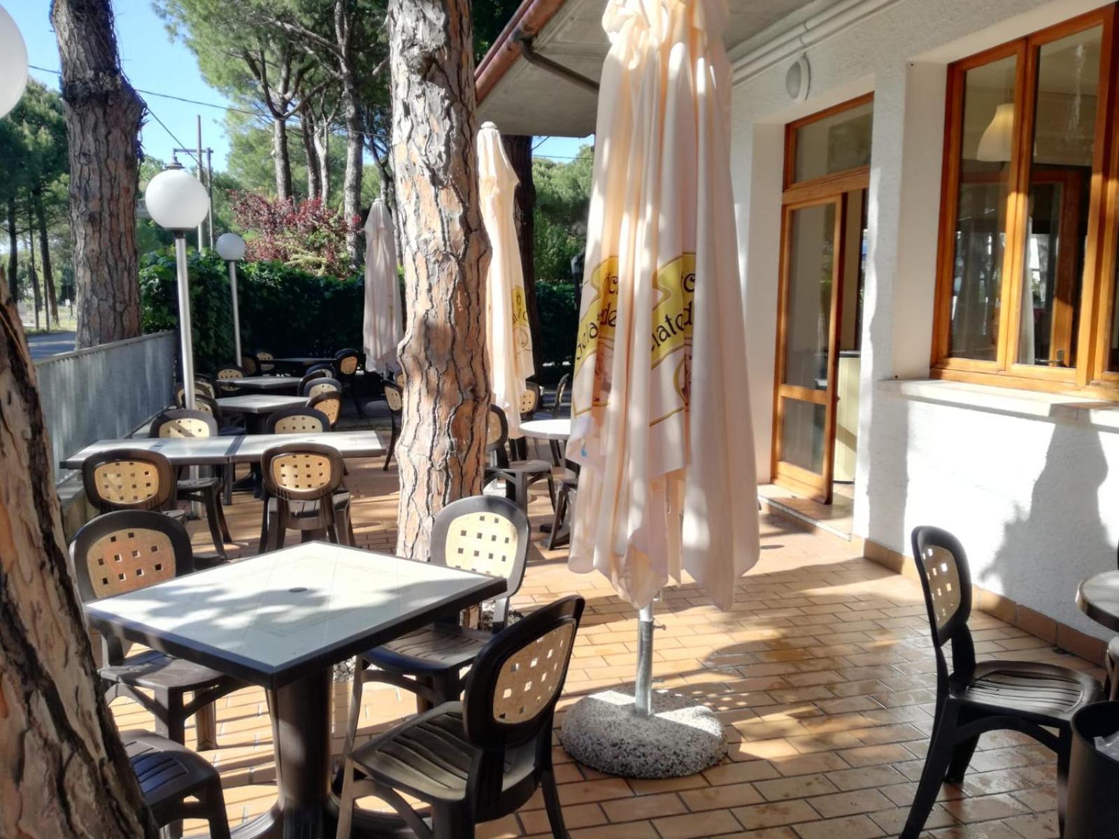 Pineta Sul Mare 5/17