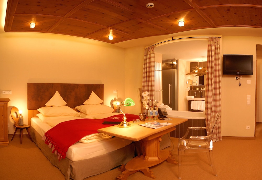 Hotel Alpine Palace 14/50