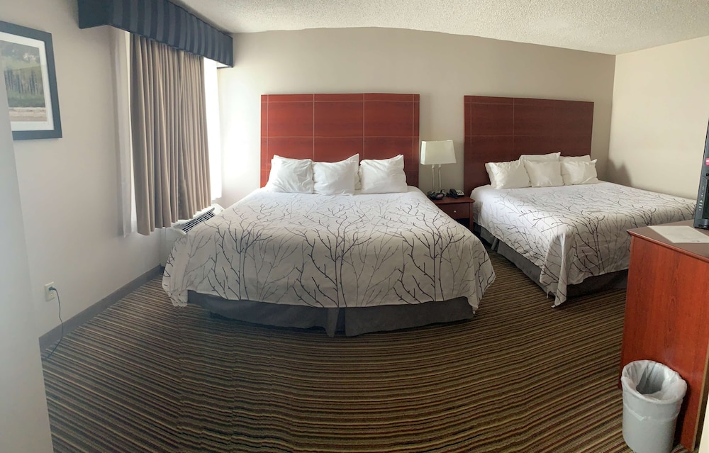 Best Western Park Oasis Inn 18/34