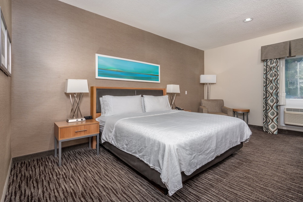 Standard, King Bed, Accessible, Holiday Inn Express Annapolis East-Kent Island 7/9