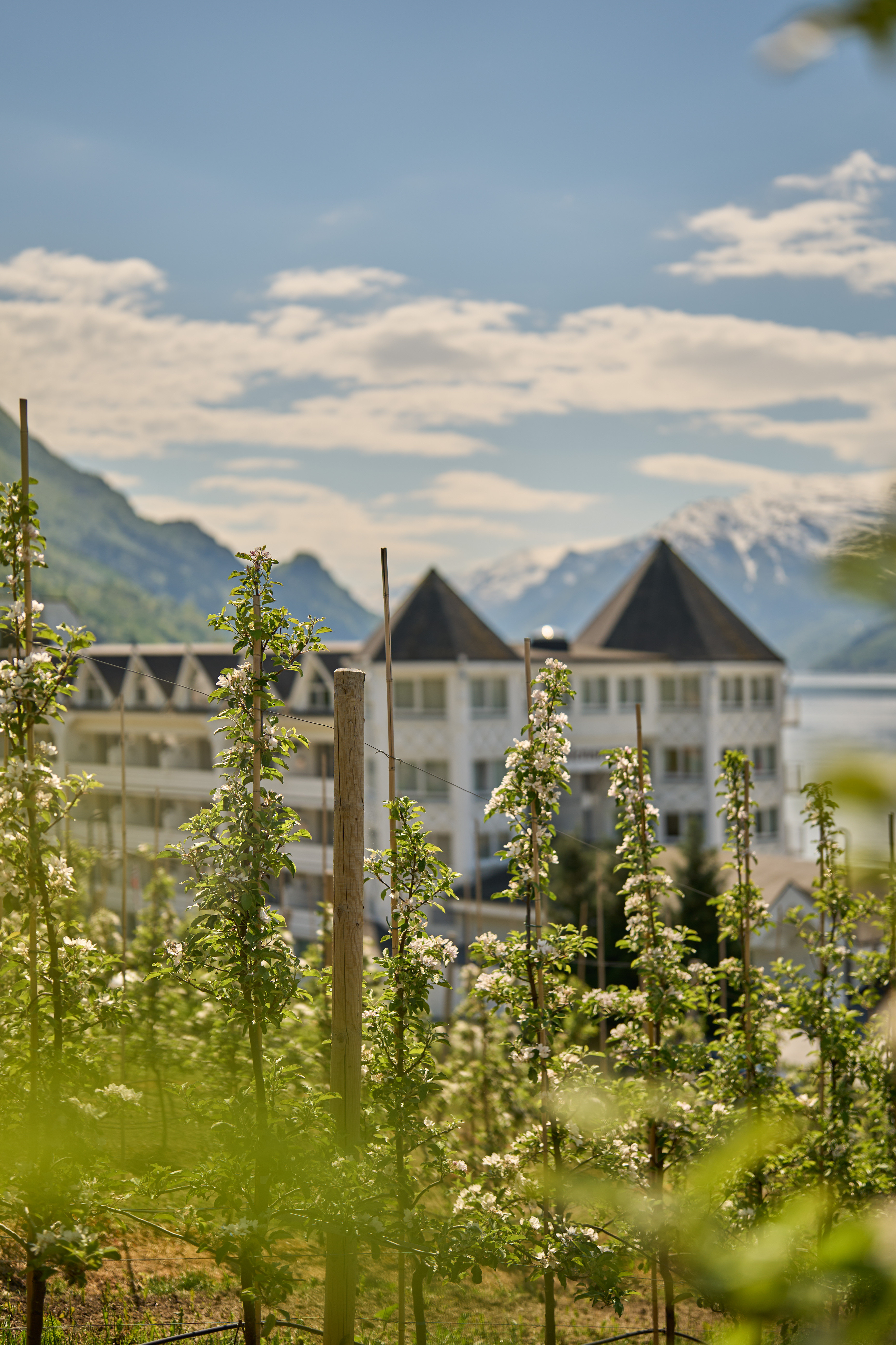 Ullensvang 45/50