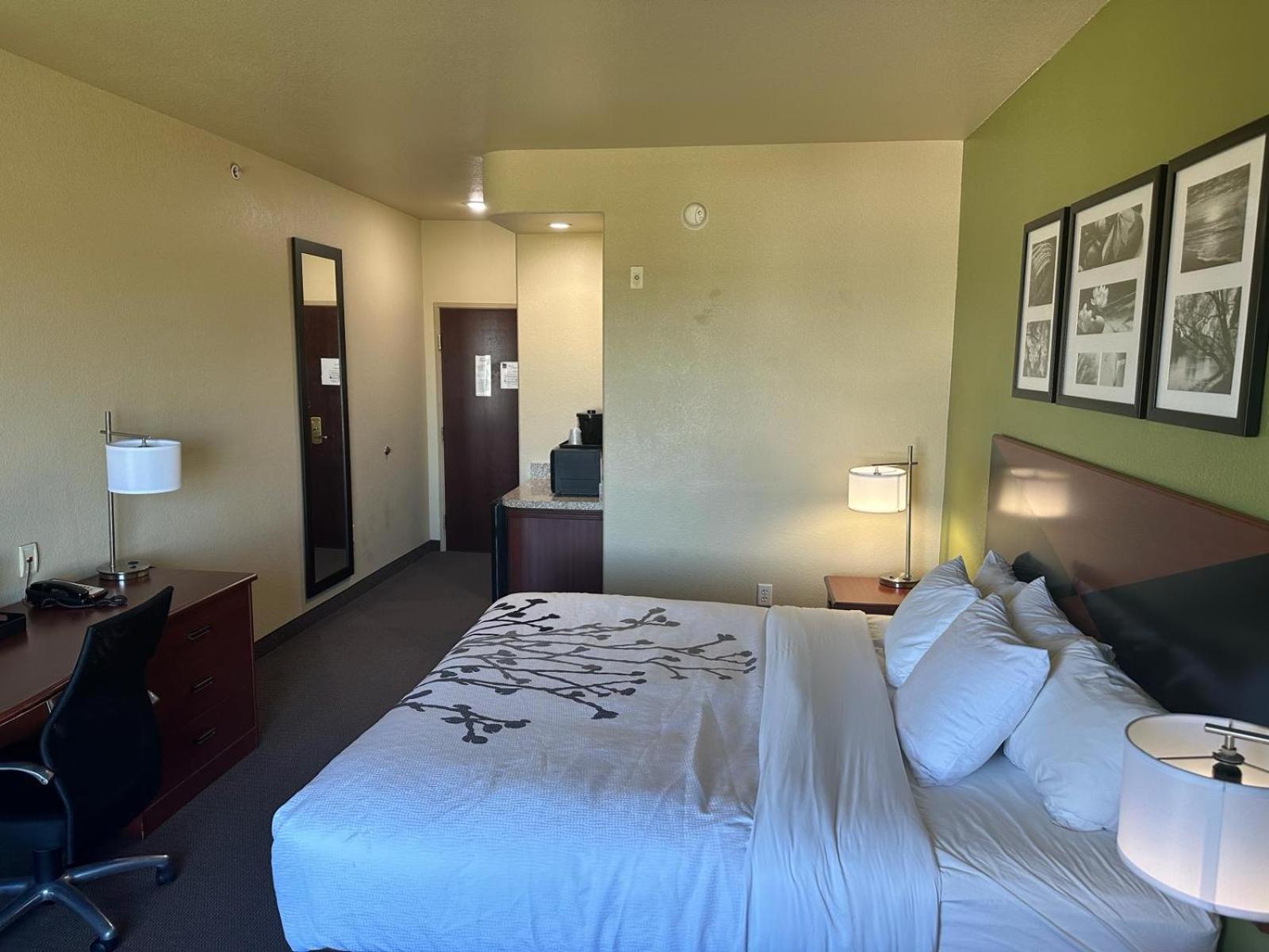 SUITE, KING BED, ACCESSIBLE