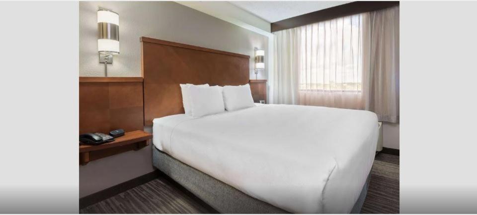 Room, King Bed, Sofa