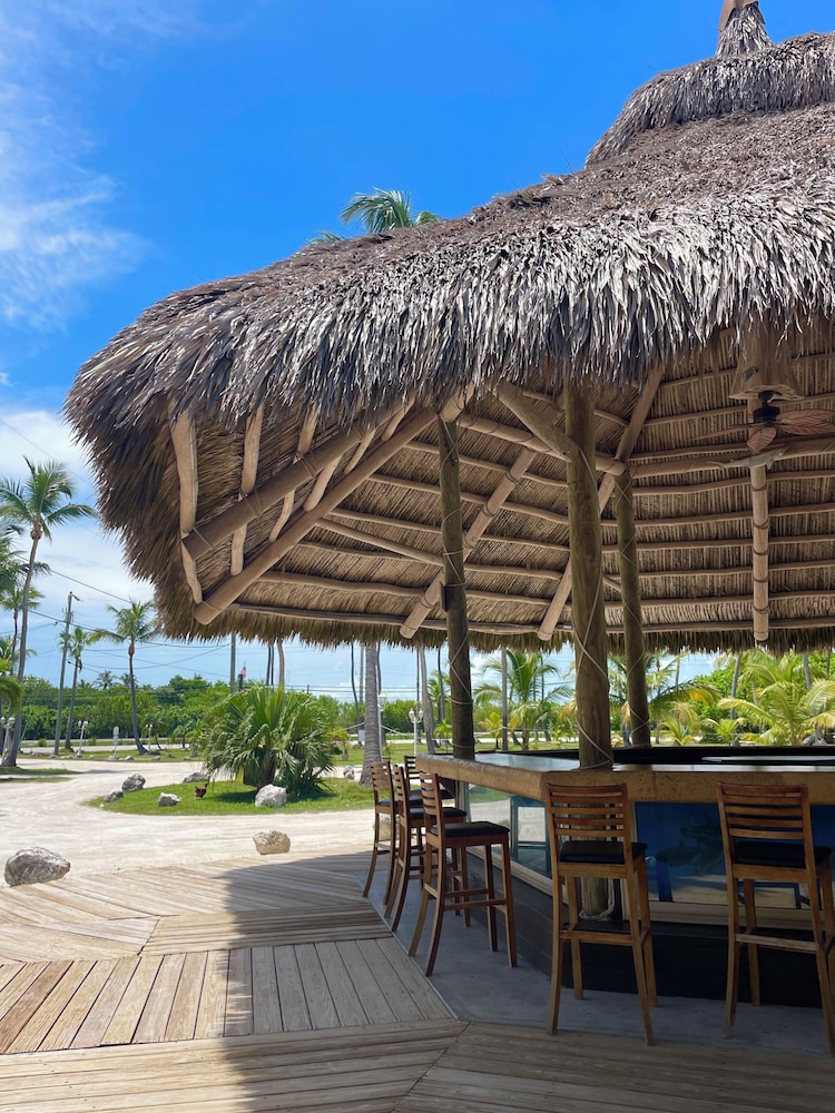 Coconut Cove Resort and Marina 35/50