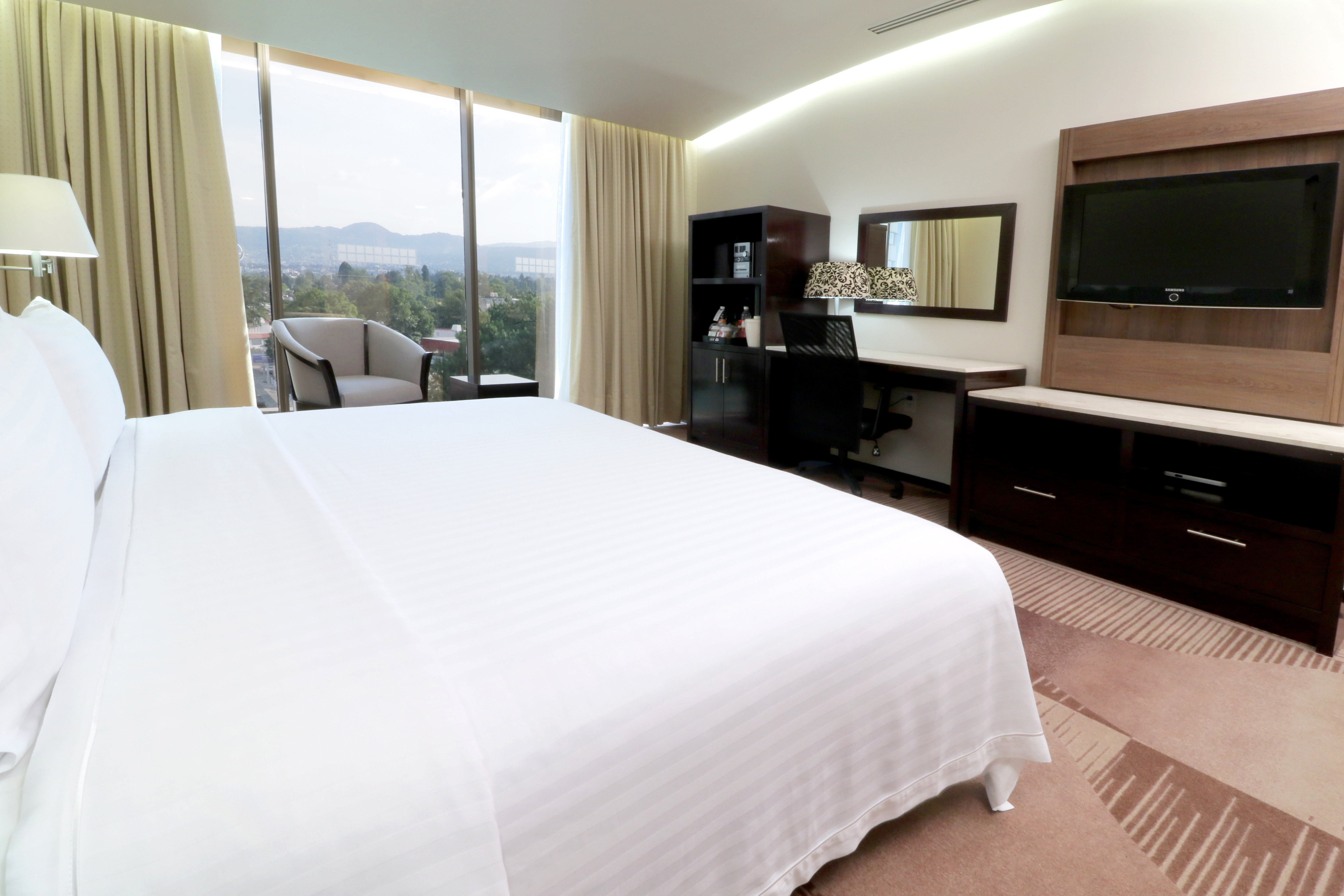 Holiday Inn Hotel And Suites Medica Sur 10/35