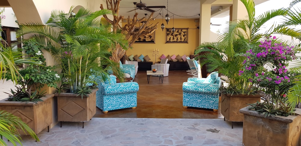 Posada de las Flores la Paz 4/33