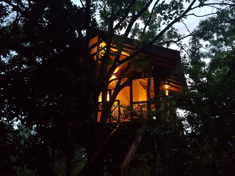 Eighth Wonder Resort 5/50