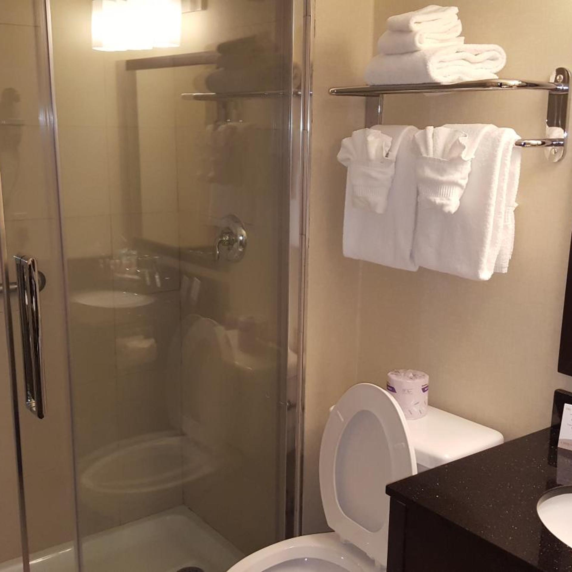 جناح تنفيذي بسرير كينج، Comfort Inn Fort Erie 4/4
