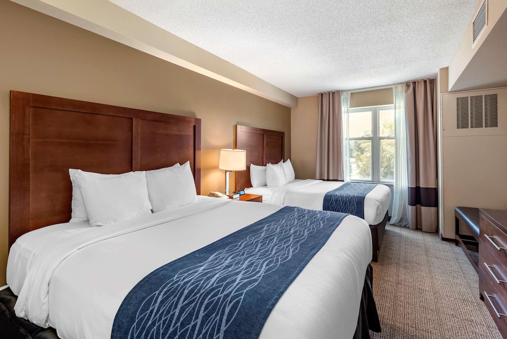 SUITE, 2 QUEEN BEDS, SOFA