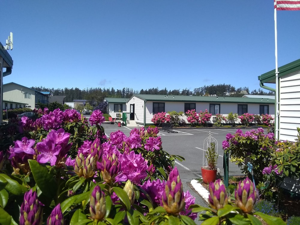 The Orca Inn 6/71