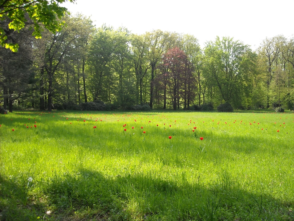 SCHLOSS ECKBERG 39/52