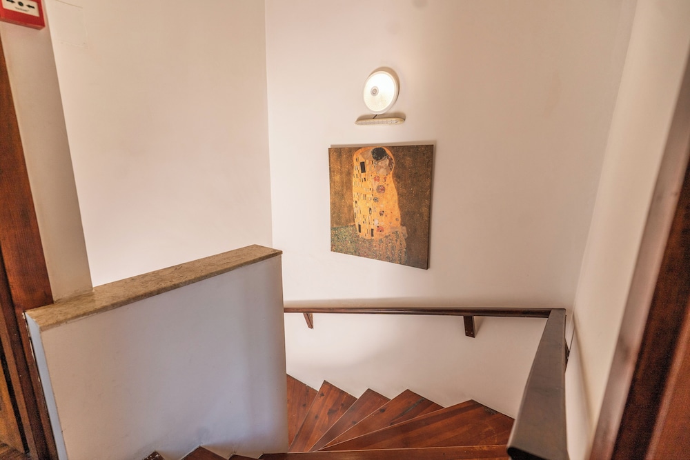 Amazon Petite Palace 20/50