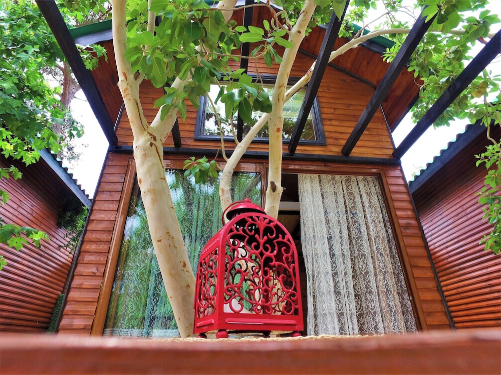 Koala Bungalows 21/49