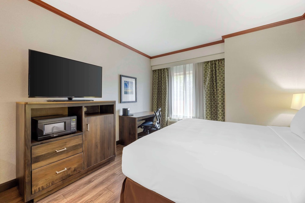 Standard, King Bed