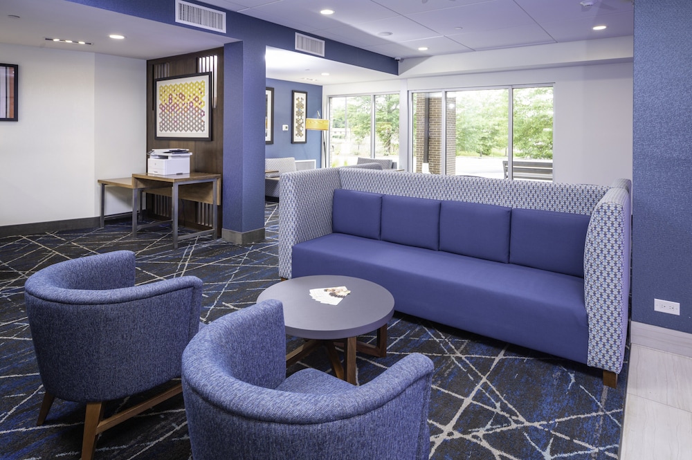 Holiday Inn Express and Suites Brevard City Center 28/51