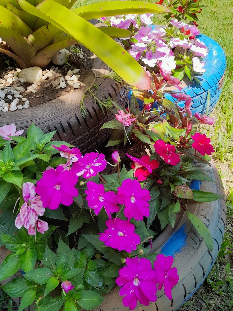 Pousada Flora 38/50