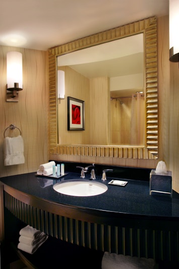 Hilton Rosemont Chicago O Hare 29/29