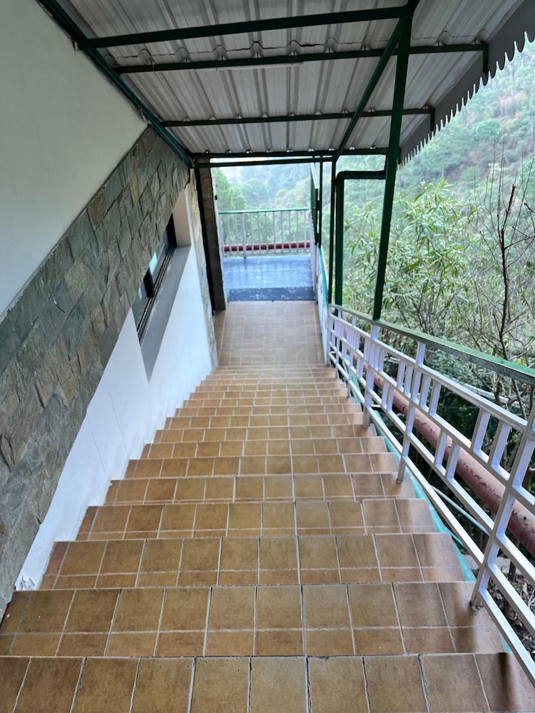 UNA COMFORT KASAULI EXOTICA 18/50