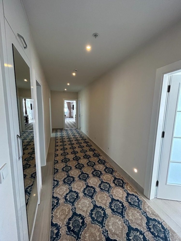 Graf Victor 11/70