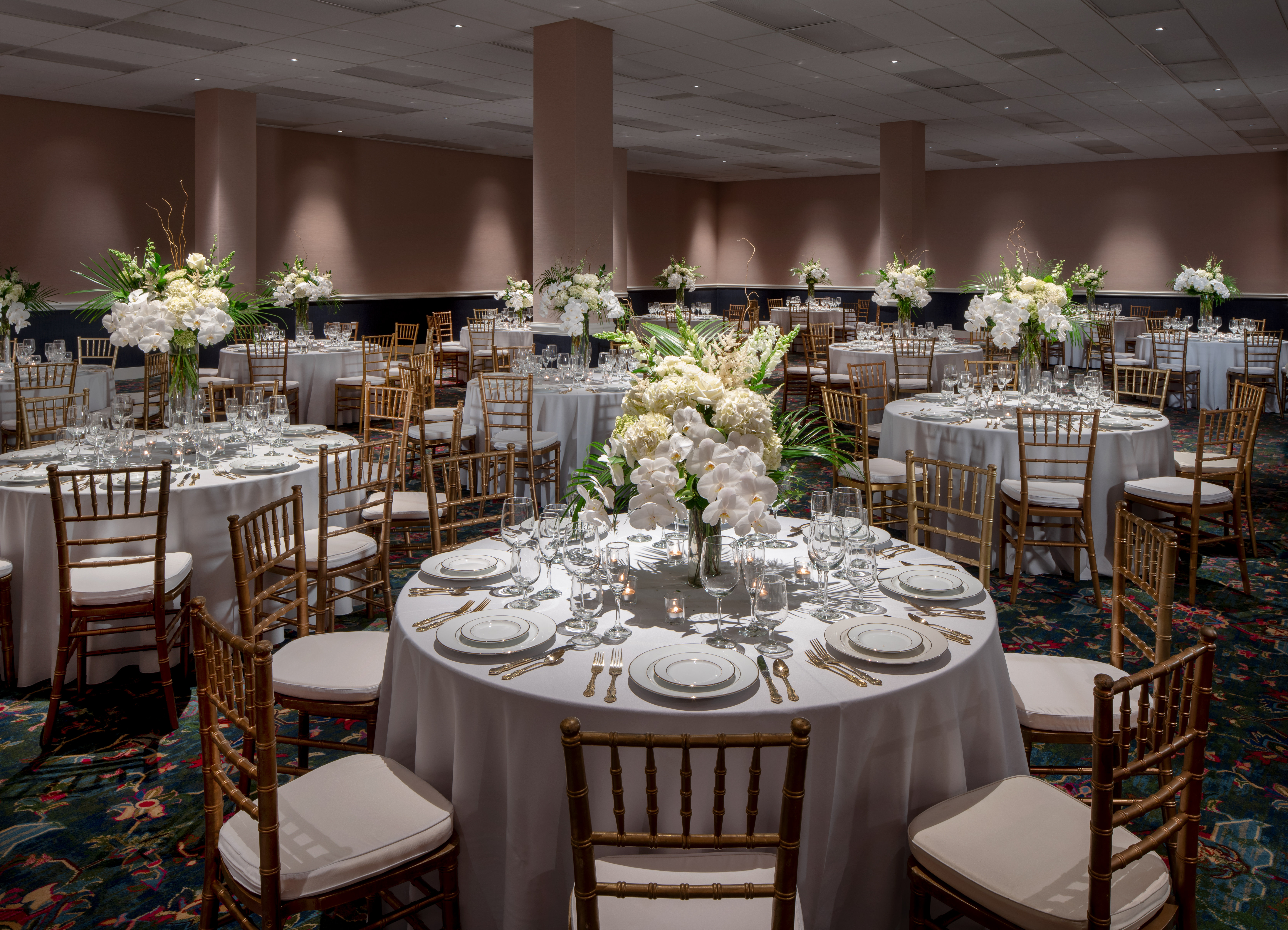 Graduate by Hilton Fayetteville, AR 30/46