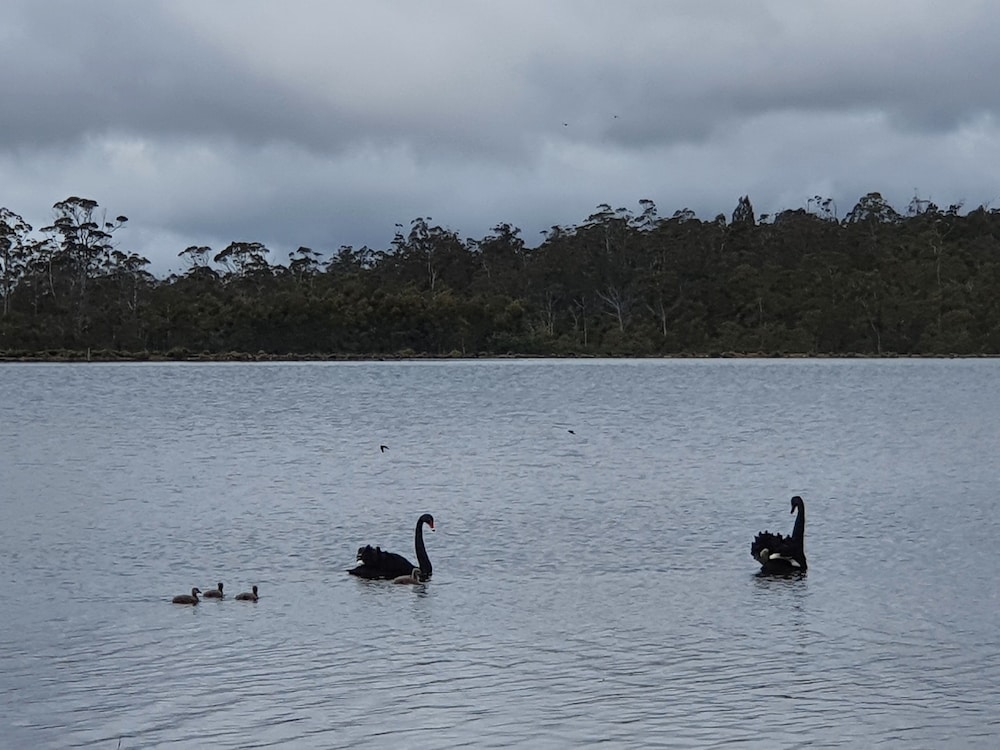 LAKE YALLEENA 26/33