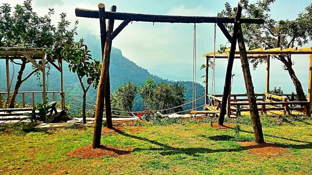 Olive Garden Kabak 26/50