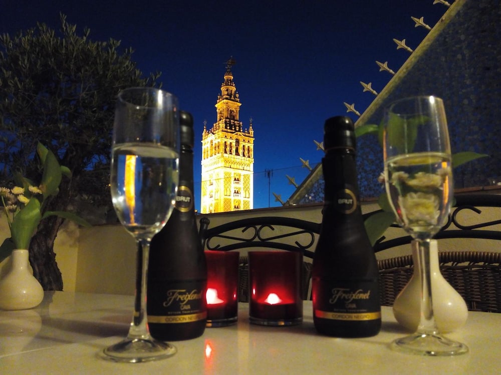 阿卡萨宫酒店(HOTEL PALACIO ALCAZAR) 图片4