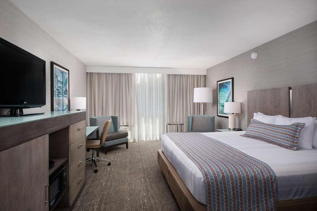 Room, King Bed, Hillside View