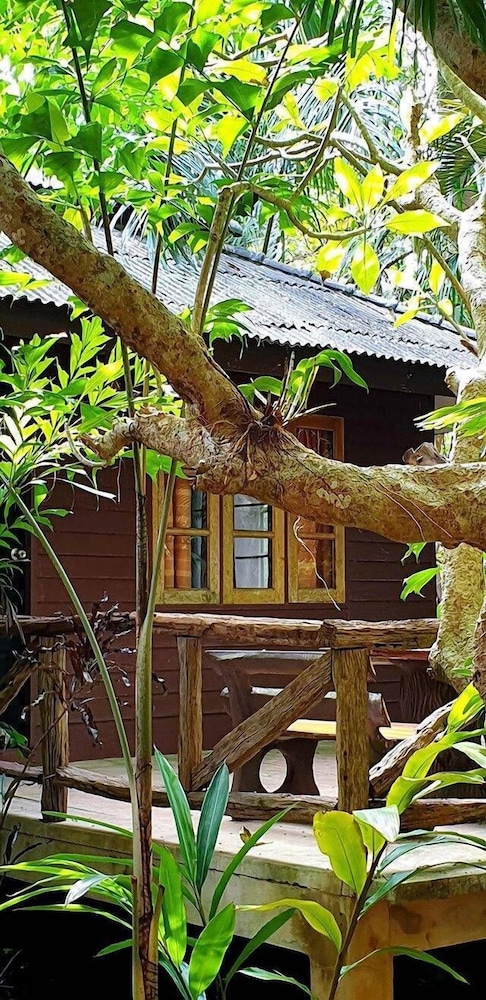 Jungle Bay Resort 40/42