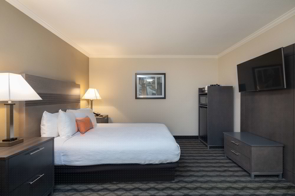 Best Western Silicon Valley Inn 13/35