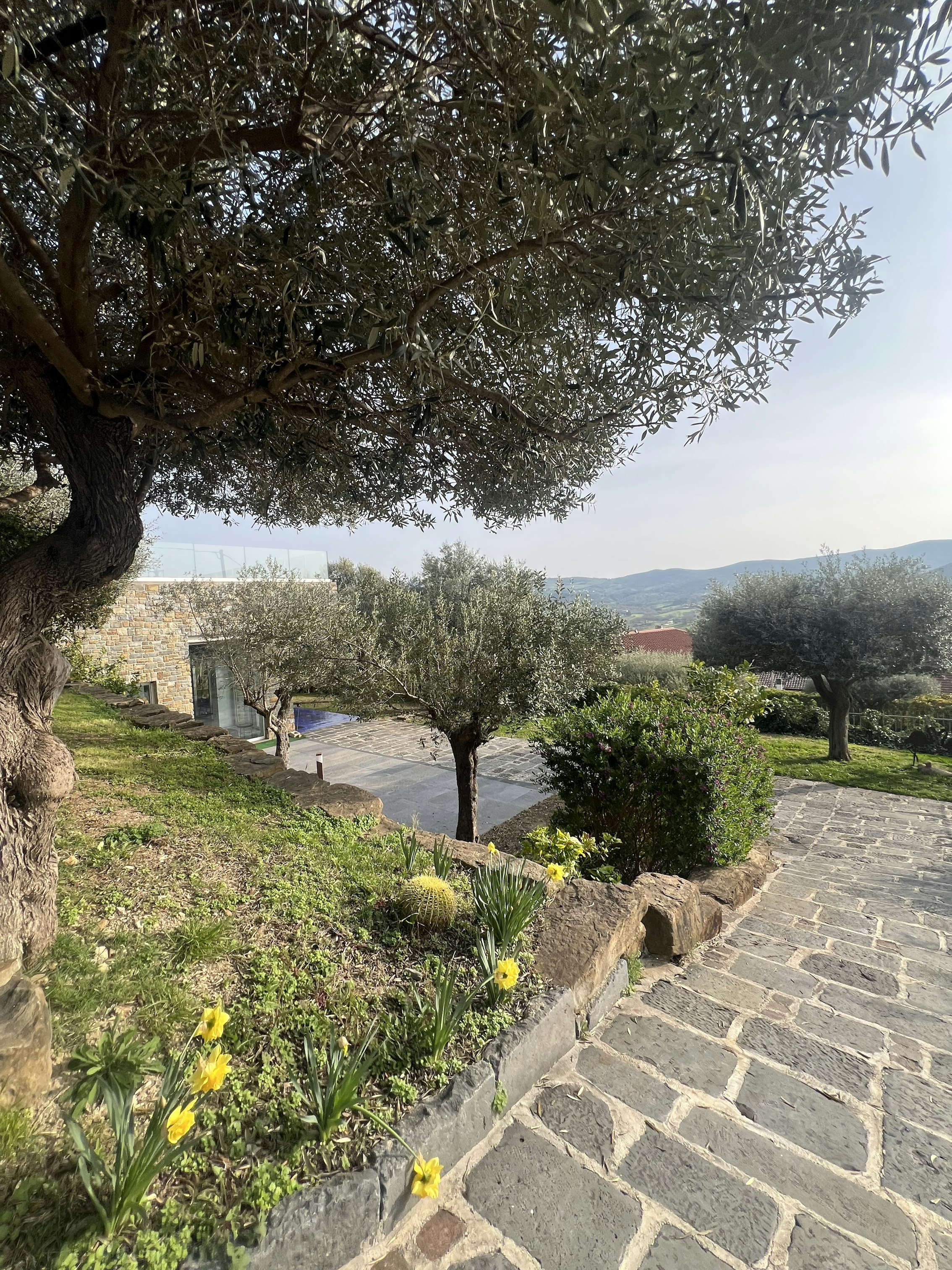 Hotel Myrtus 47/50