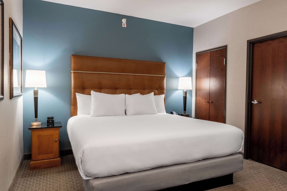 Drury Plaza Hotel Broadview Wichita 13/50