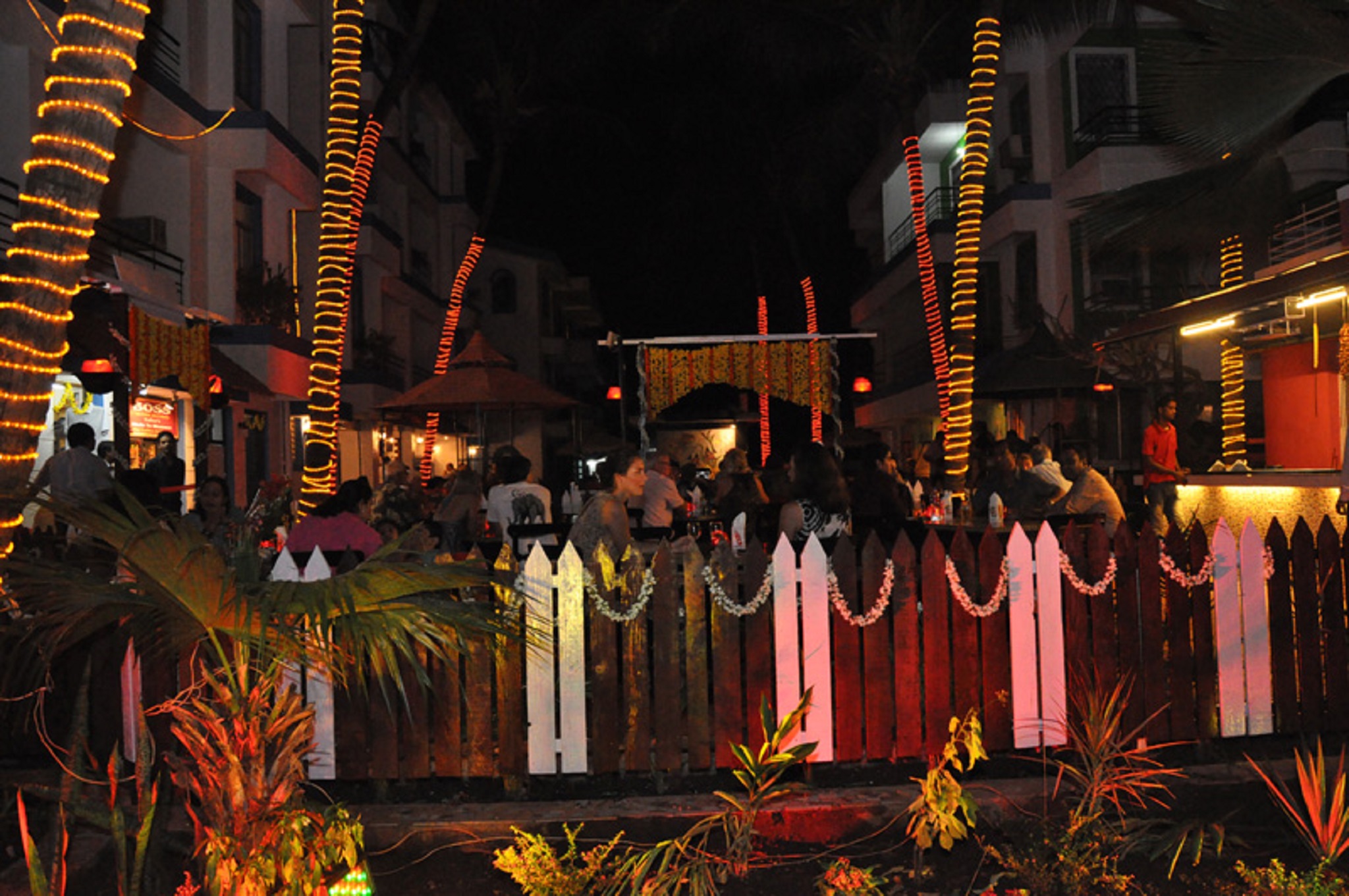 Magnum Resorts 27/30