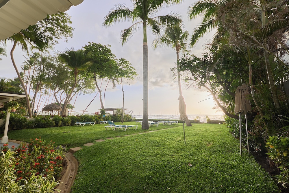 Perla de la Playa Beachfront Hotel 35/48