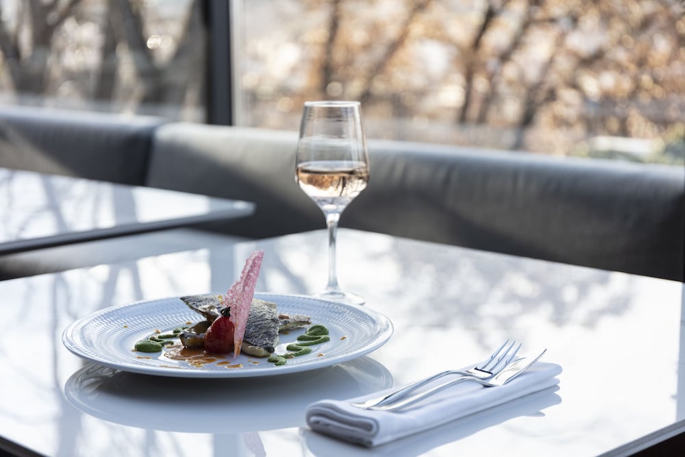 The Lynx | Mountain Resort Florina 34/63