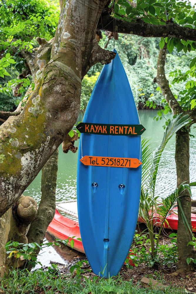 Nativ Lodge & Spa 26/50