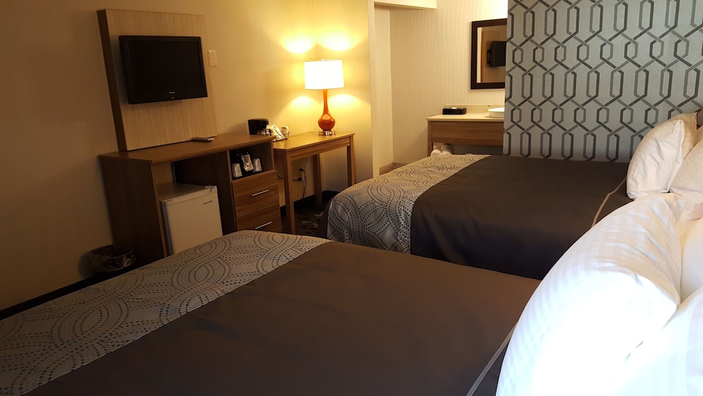 Aartpark Hotel Inn At Lewiston 13/37