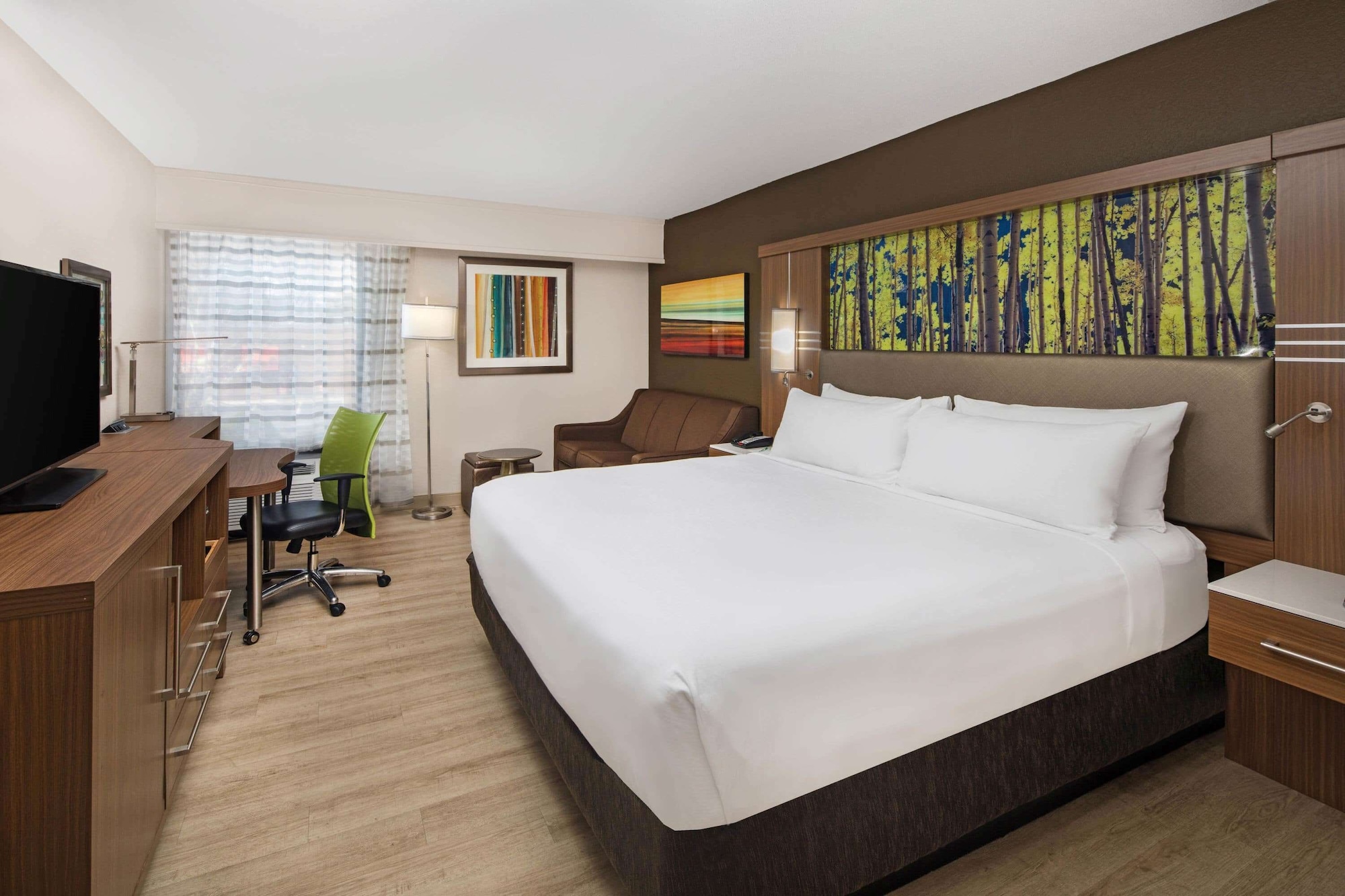 ROOM, KING BED, ACCESSIBLE