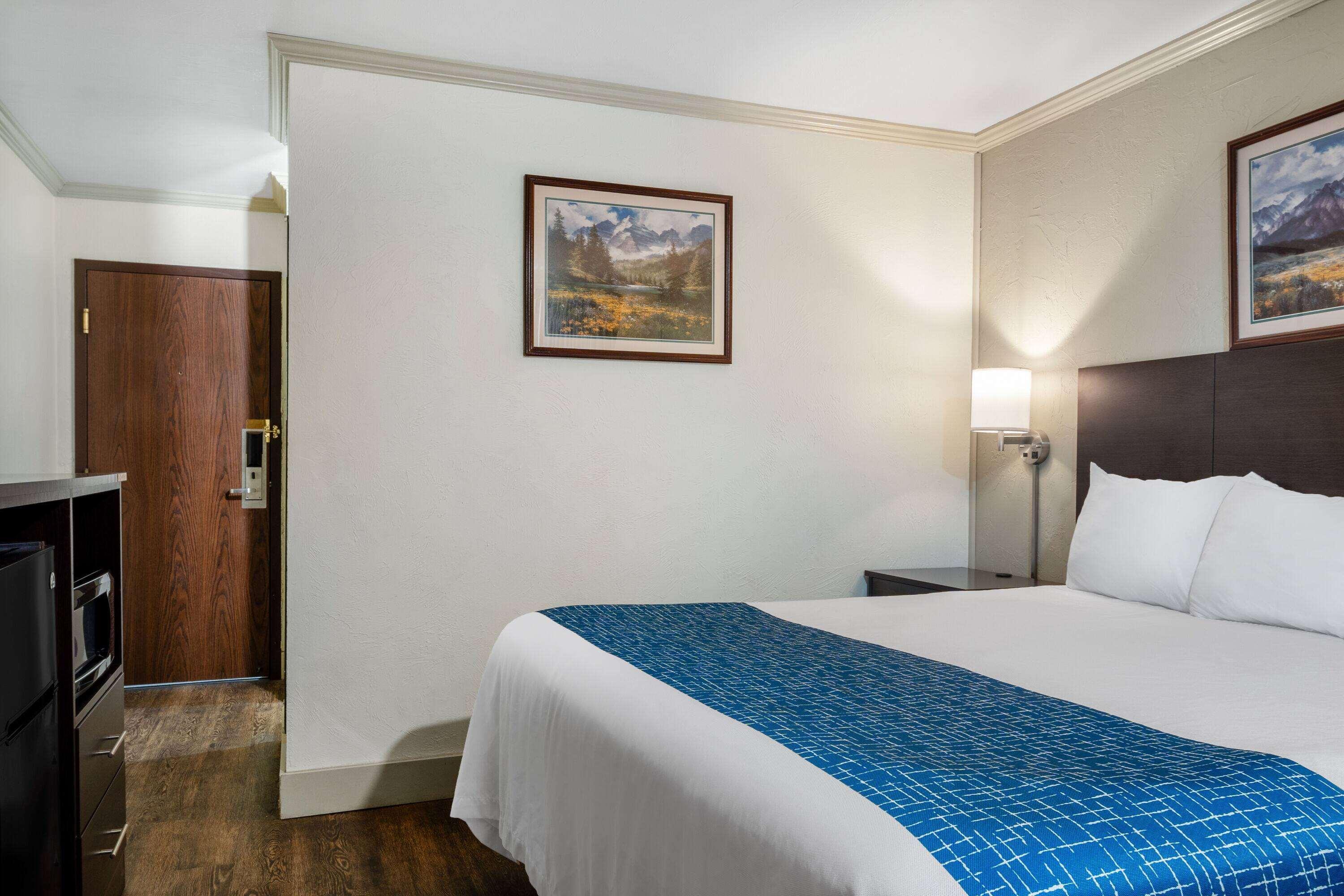 Room, Queen Bed