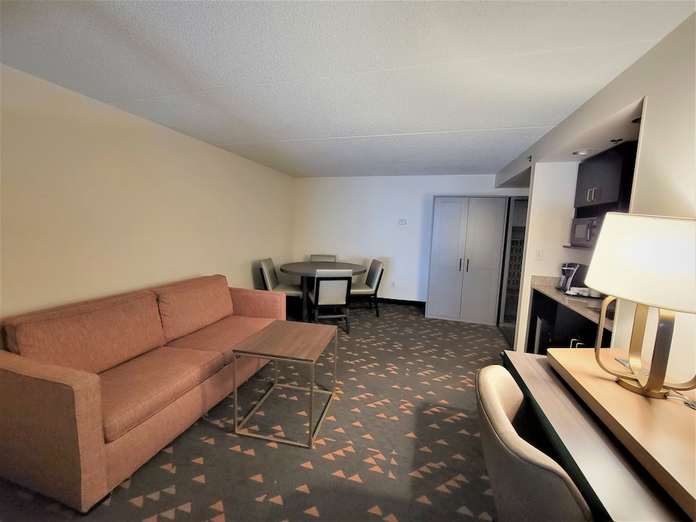 Holiday Inn Hotel Suites Ann Arbor Univ Michigan 41/73