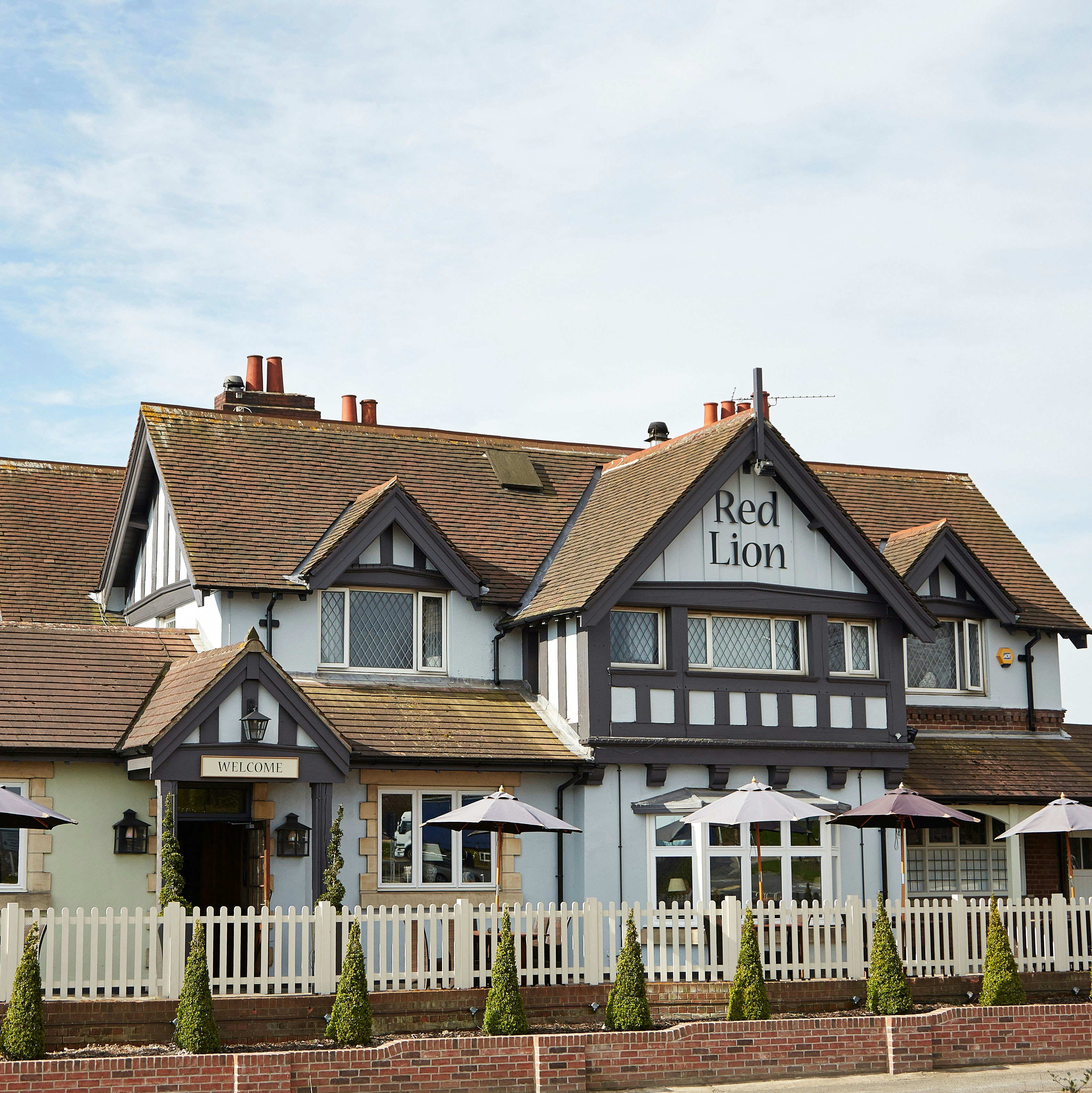 The Red Lion 5/46