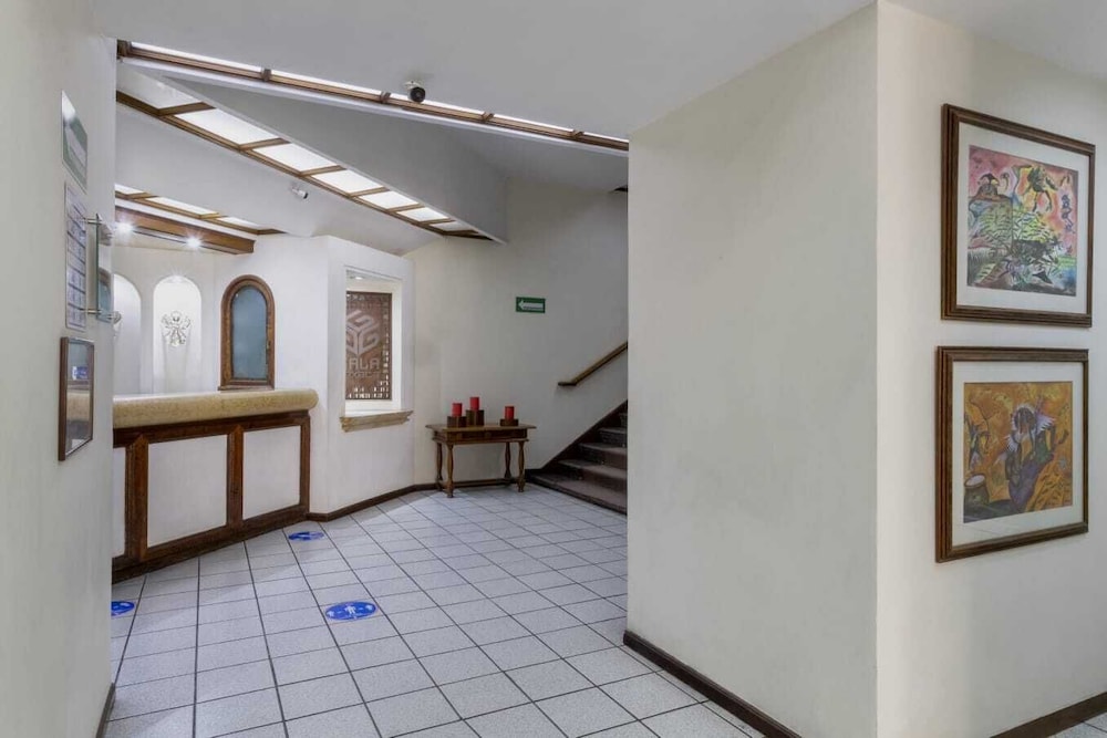 Gala Oaxaca 5/50