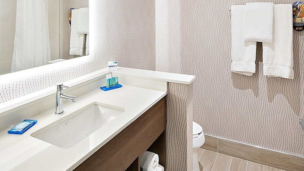 Holiday Inn Express Hotel Suites Mount Pleasant 36/61