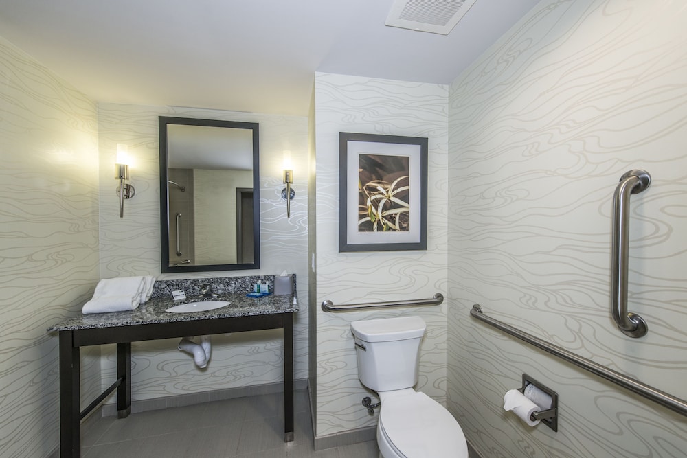 Holiday Inn Express Hotel And Suites Charleston Arpt Conv Ctr Area 20/67