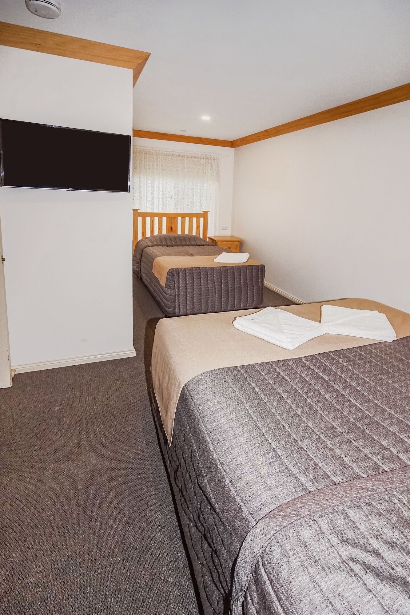 Executive, Suite, 1 Single and 2 Queen Beds