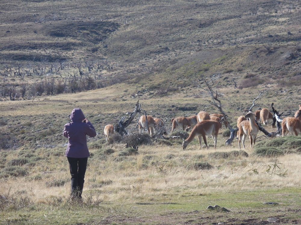 Hotel del Paine 30/41