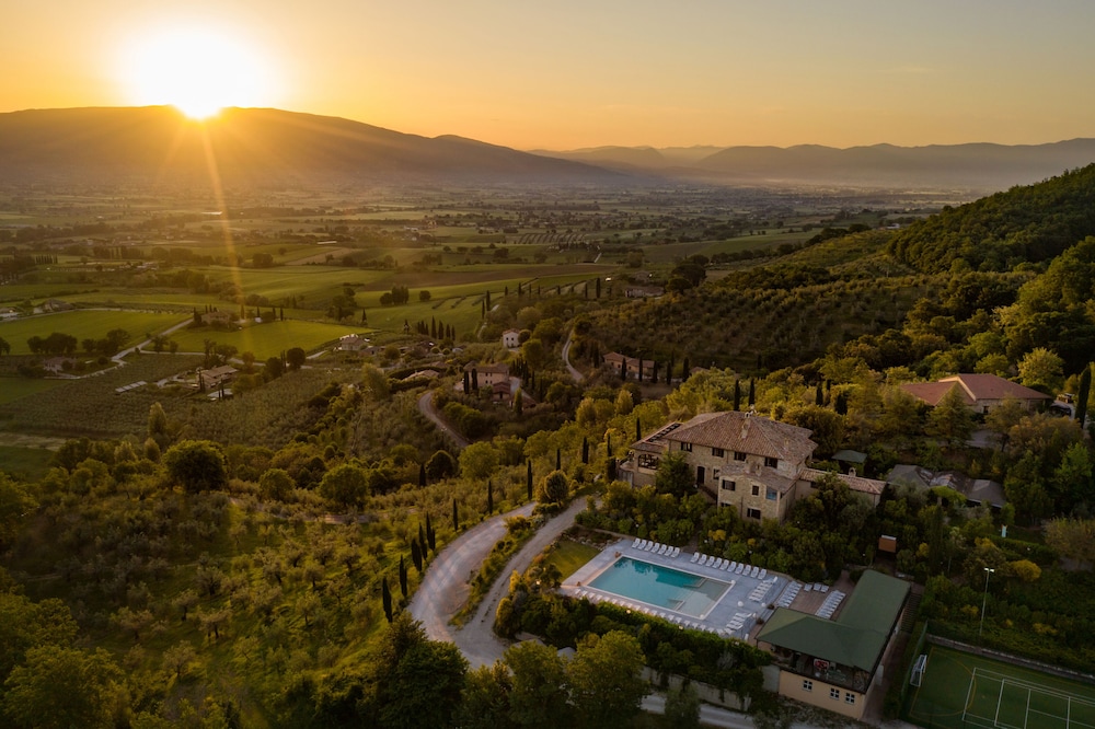 Il Poggio Degli Olivi 22/50